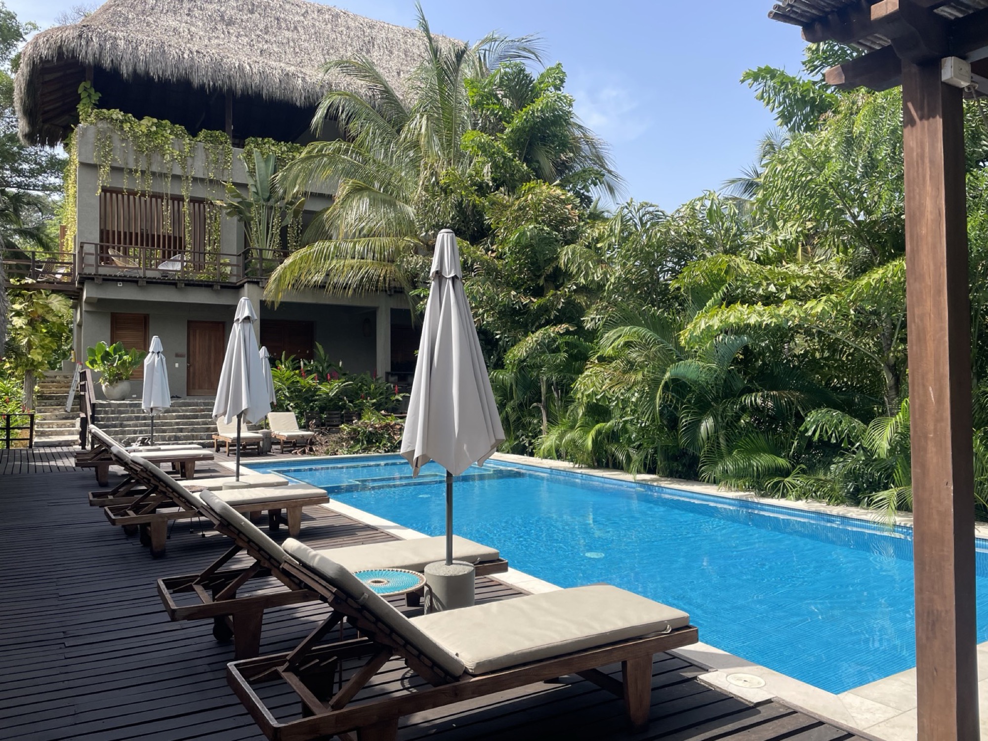 Tropical villa pool deck surrounded by palms in Colombia